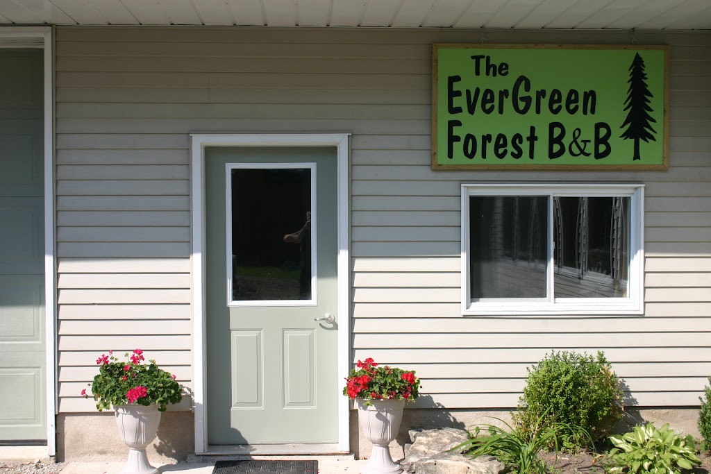 Evergreen Forest | 381135 Concession 17, Georgian Bluffs, ON N0H 2T0, Canada | Phone: (519) 534-9398