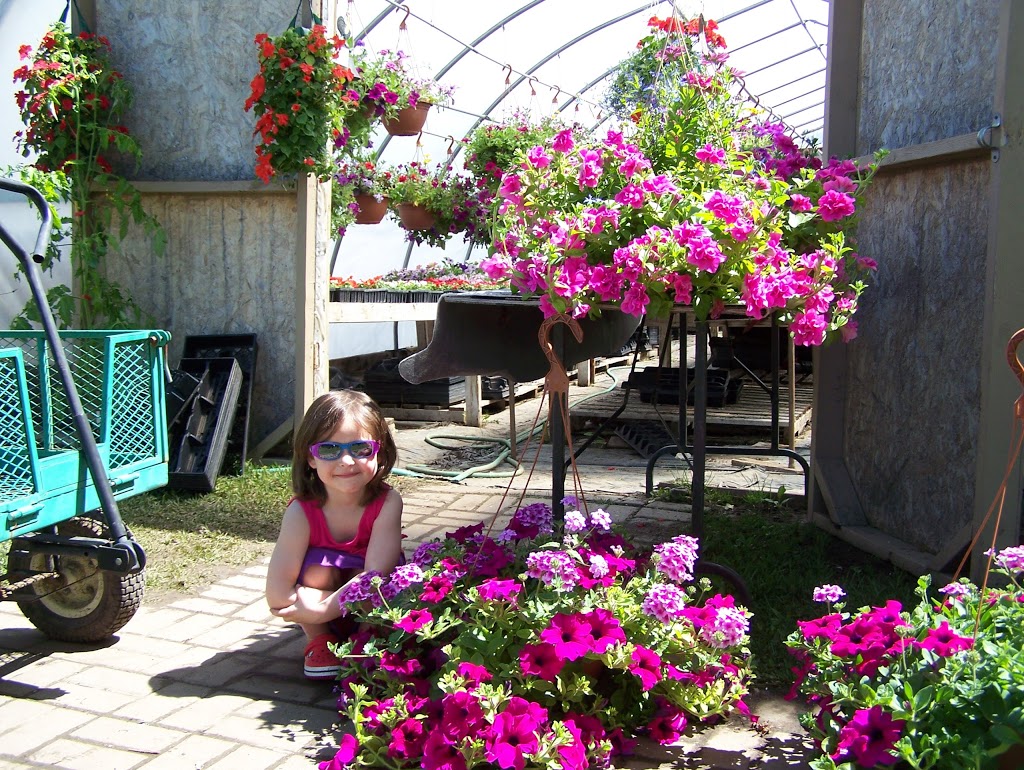 Grumpas Organic Greenhouses | 7871 Concession Rd 3, Lisle, ON L0M 1M0, Canada | Phone: (705) 424-9920