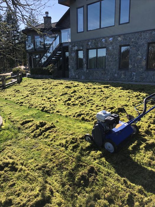 VI Landscaping | 776 Murphy Pl, Victoria, BC V8Y 3H4, Canada | Phone: (250) 893-5445