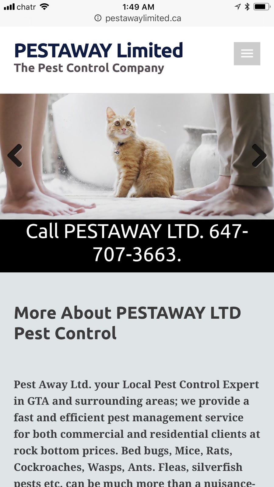 Pest Away Limited | 17 Cotswold Ct, Brampton, ON L6T 1Z8, Canada | Phone: (647) 707-3663