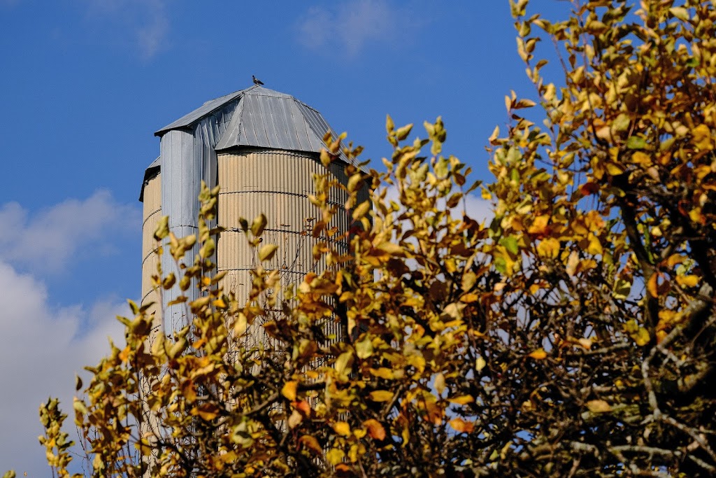 Elam Martin Farmstead at RIM Park | Woolwich St N, Waterloo, ON N0B 1K0, Canada | Phone: (519) 886-1550