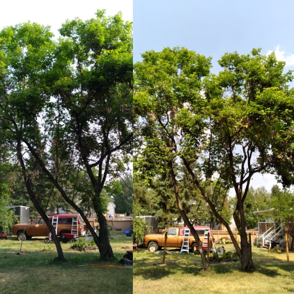 Mountain Country Tree Care | 67 Knight Pl, Crossfield, AB T0M 0S0, Canada | Phone: (403) 836-5765