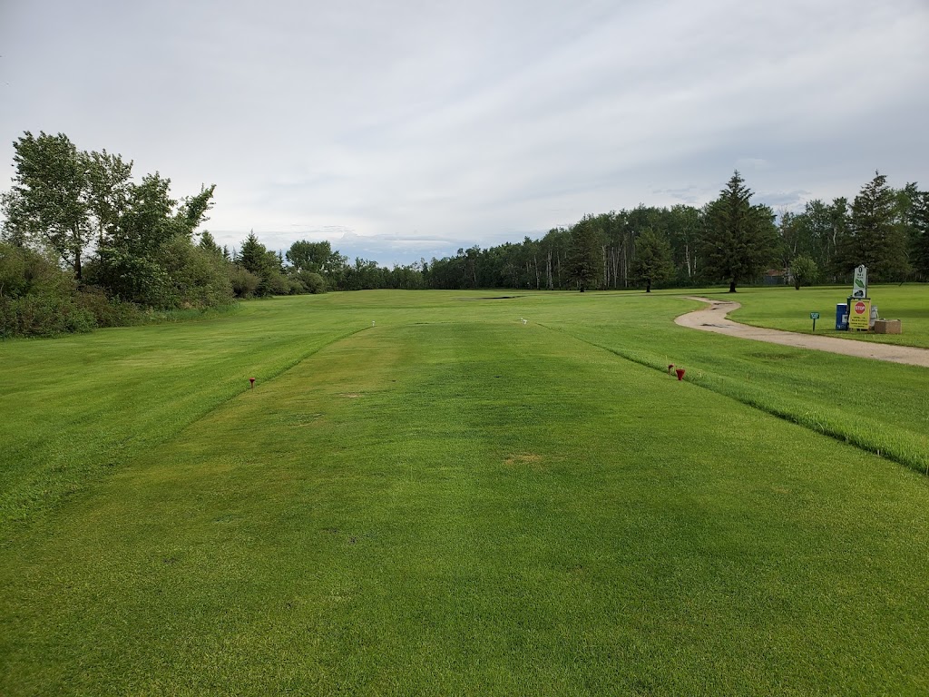 Delahunt Golf & Country Club | Box 149, Treherne, MB R0G 2V0, Canada | Phone: (204) 723-2502