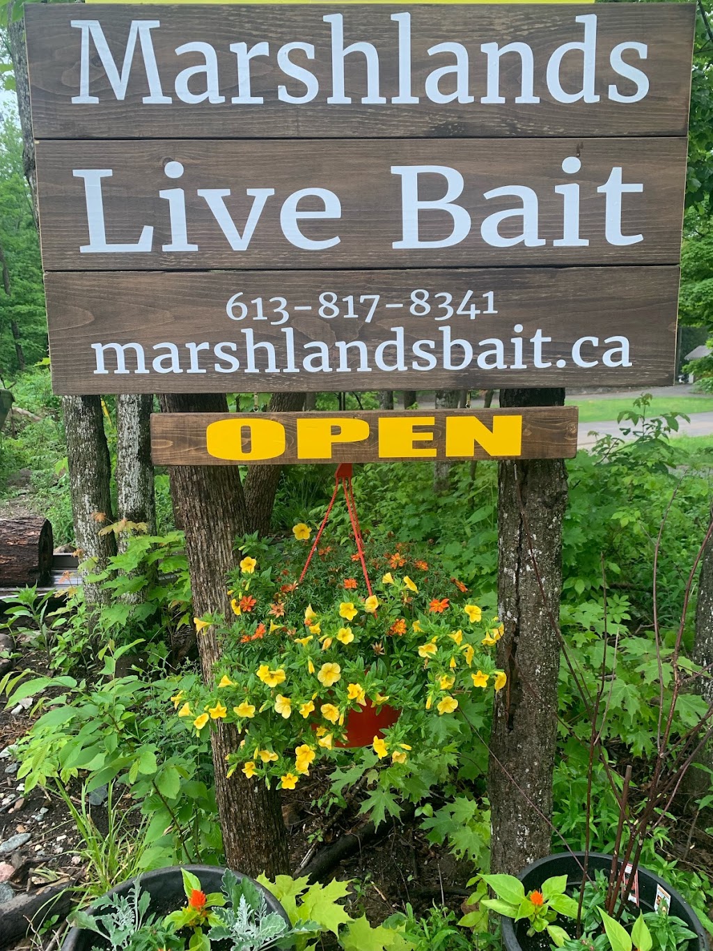 Marshlands Live Bait | 1103 St Georges Lake Rd, Sharbot Lake, ON K0H 2P0, Canada | Phone: (613) 817-8341