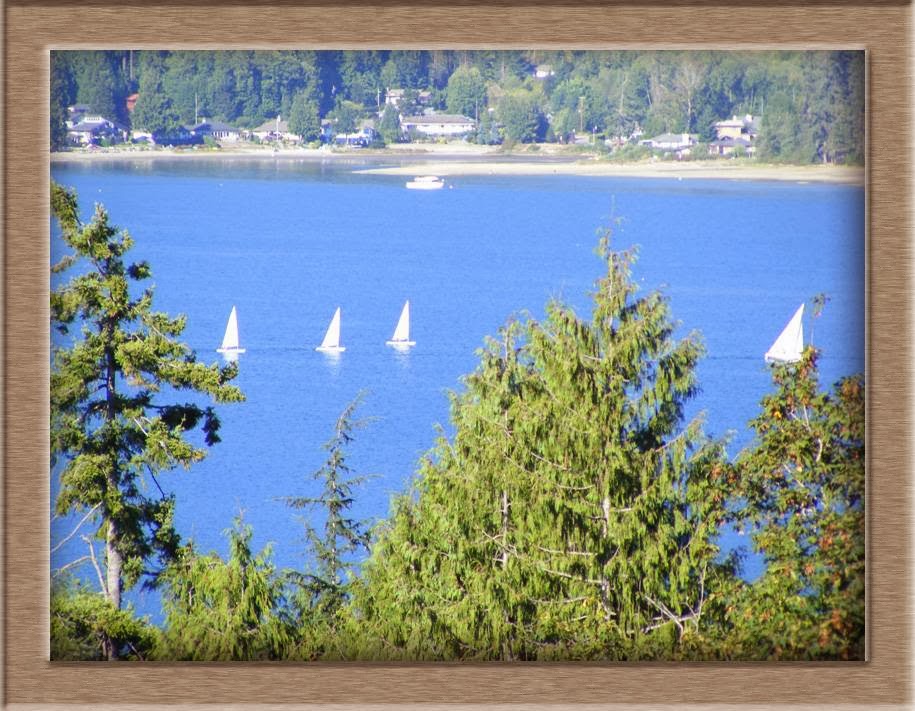 Above the Inlet B&B and vacation rental | 5888 Turnstone Crescent, Sechelt, BC V0N 3A6, Canada | Phone: (604) 740-0367