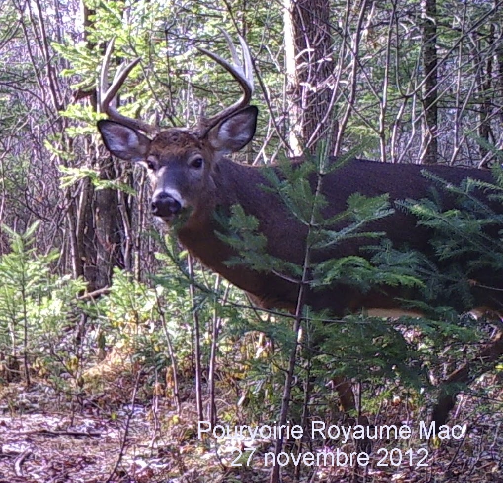 Pourvoirie Royaume Mac | 323 7e Rang, Saint-Théodore-dActon, QC J0H 1Z0, Canada | Phone: (450) 768-3410