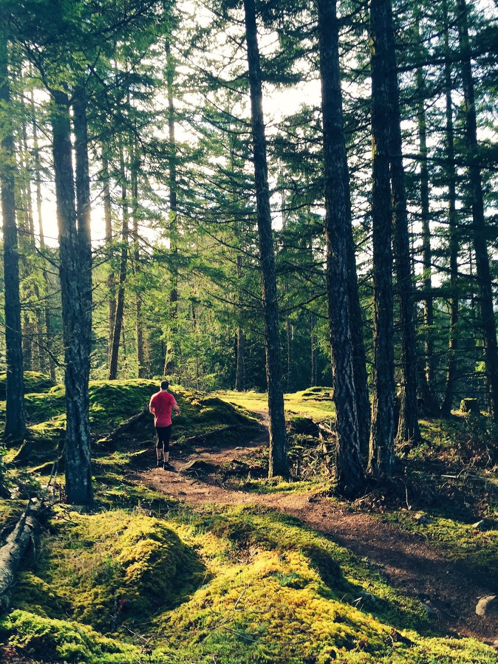 Maple Mountain parking | Maple Mountain Park Rd, Duncan, BC V9L 5W7, Canada