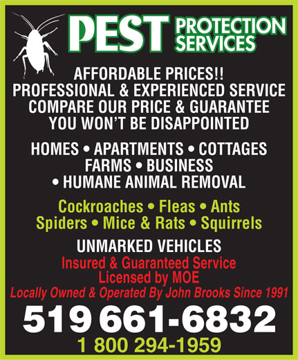 Pest Protection Services | 283 Alma St, St Thomas, ON N5P 3B9, Canada | Phone: (519) 661-6832