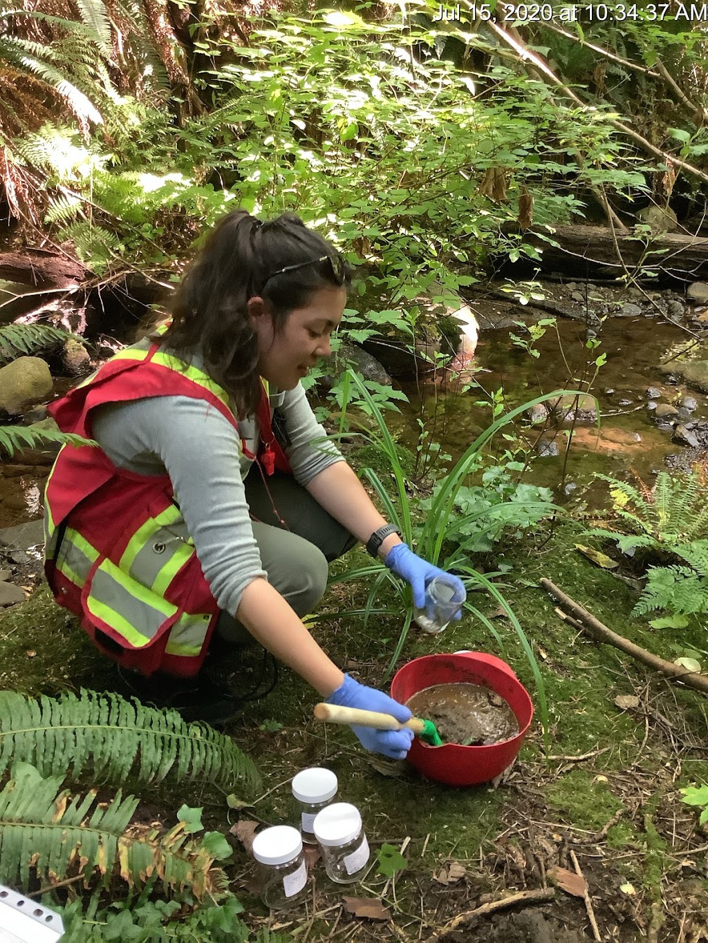 Bailey Environmental Consulting Inc. | 834 29th St E, North Vancouver, BC V7K 1B7, Canada | Phone: (604) 250-2964