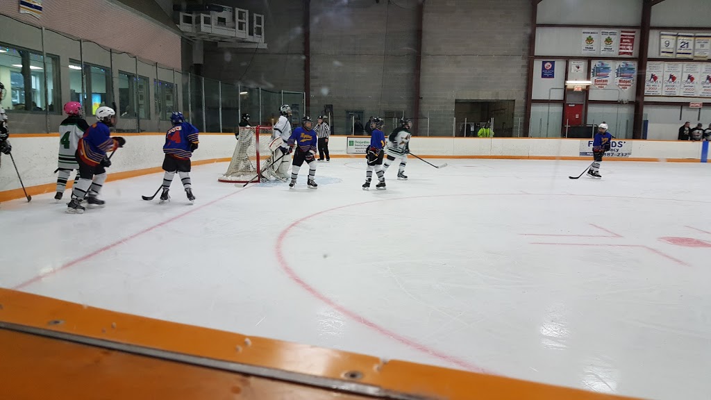 Nipigon Community Centre Ice Skating Rink | 2J0, 138 Wadsworth Dr, Nipigon, ON P0T, Canada | Phone: (807) 887-3585