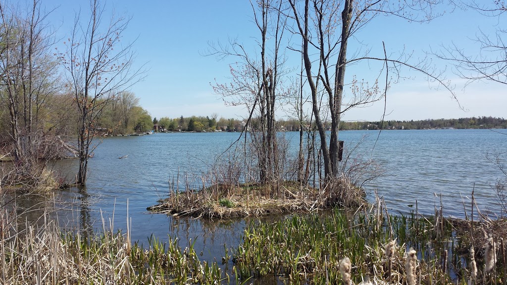 Lake Wilcox Fish & Wildlife Refuge | Richmond Hill, ON L4E 3H4, Canada | Phone: (905) 771-8800