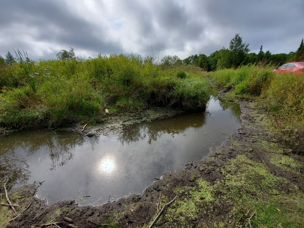 Saugeen Conservation Lands | Chepstow, ON N0G 1K0, Canada | Phone: (519) 367-3040