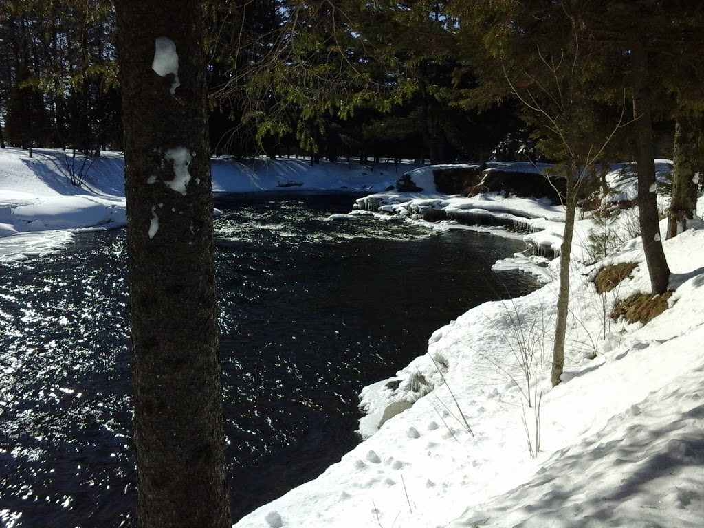 Les chalets du Parc des îles | 2141 Rang de la Rivière, Saint-Isidore, QC G0S 2S0, Canada | Phone: (418) 882-2081