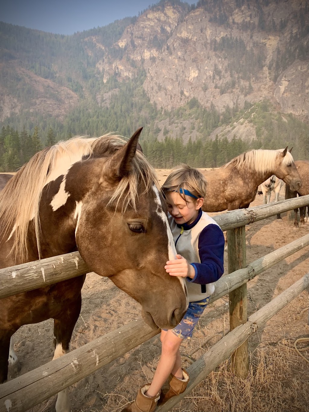 Owl Mountain Ranch | 701 Border Rd, Christina Lake, BC V0H 1E0, Canada | Phone: (250) 447-9442