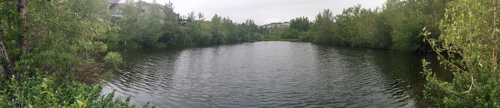 Sarina Pond | 166 R Royal Ridge Mt NW, Calgary, AB T3G 0A2, Canada