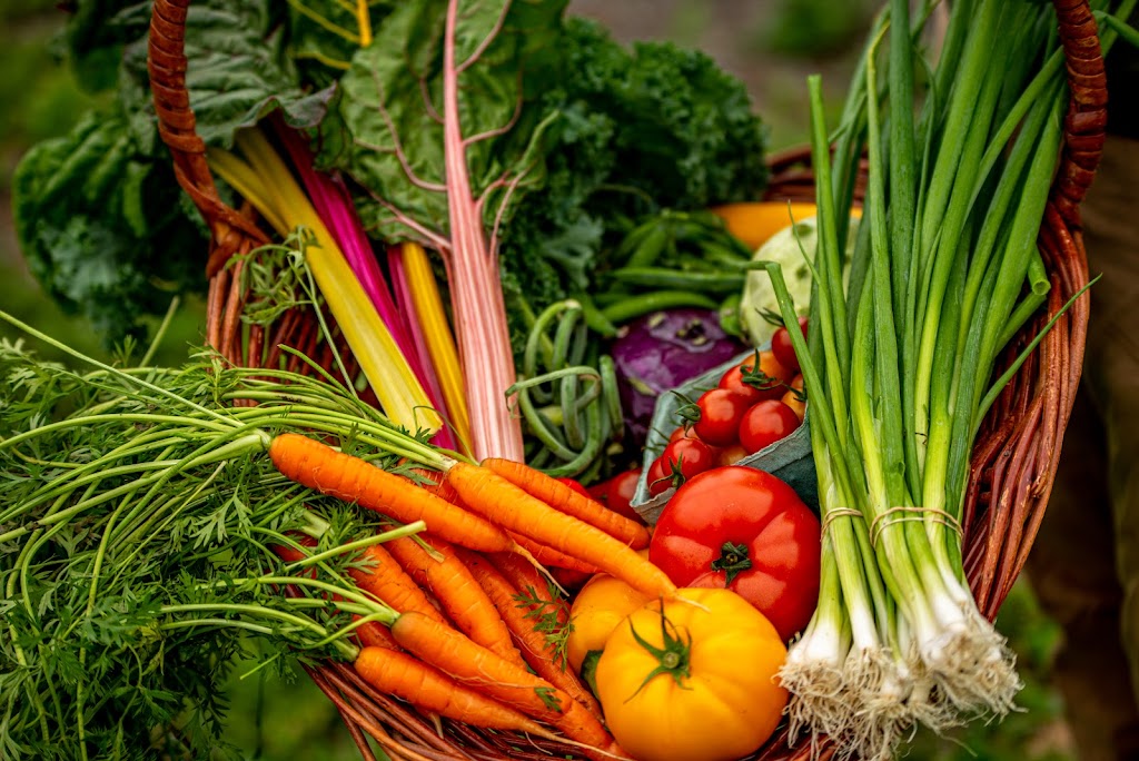 Ferme Rouge Tomate | 400 9e Rang, Saint-Ludger, QC G0M 1W0, Canada | Phone: (819) 548-5557