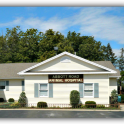 Abbott Road Animal Hospital | 3816 Abbott Rd, Orchard Park, NY 14127, USA | Phone: (716) 648-1340