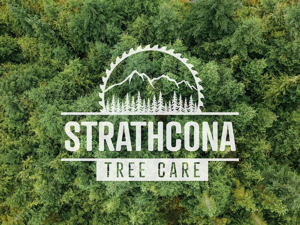 Strathcona Tree Care | 141 Marich Ln, Courtenay, BC V9N 9V2, Canada | Phone: (236) 471-6510