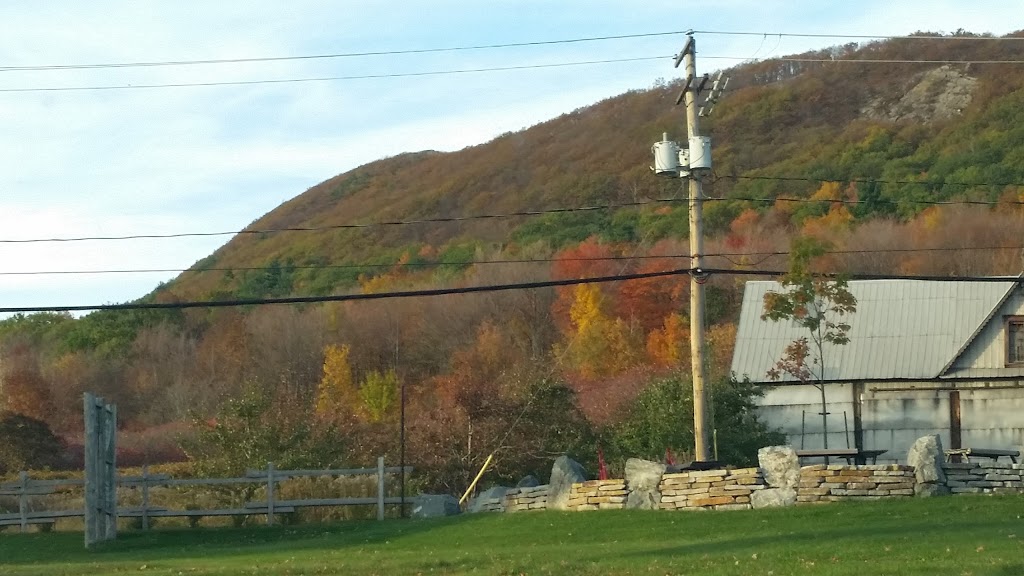 The Old Cellar | 937 Chemin de la Montagne, Mont-Saint-Hilaire, QC J3G 4S6, Canada | Phone: (450) 446-0332