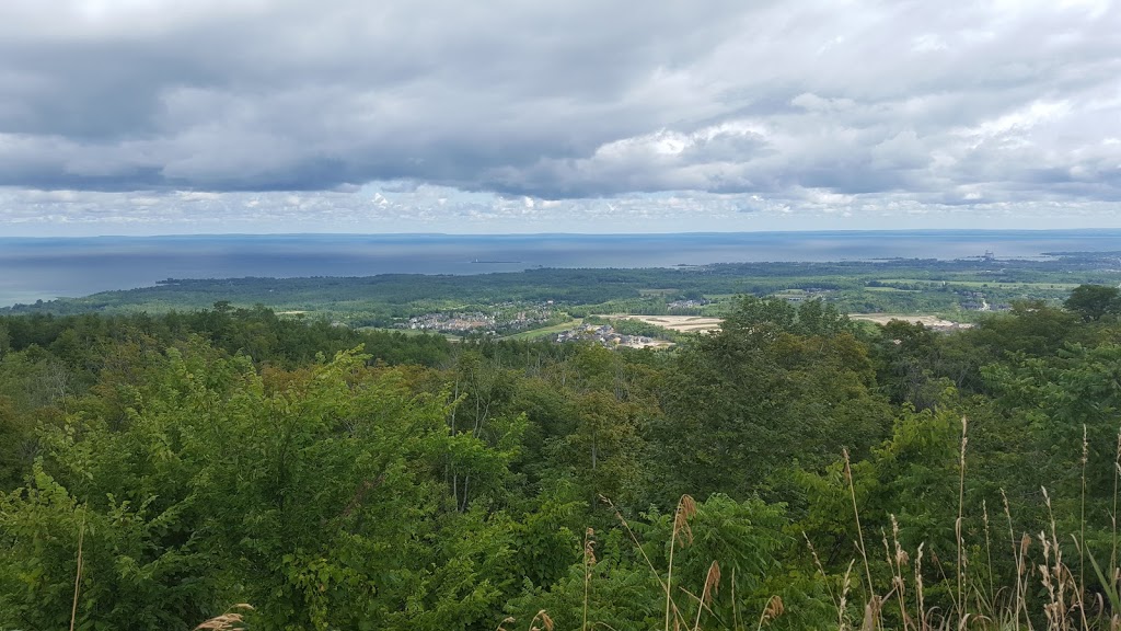 Blue Mountain Lookout Point | The Blue Mountains, ON N0H 2E0, Canada | Phone: (519) 376-3365