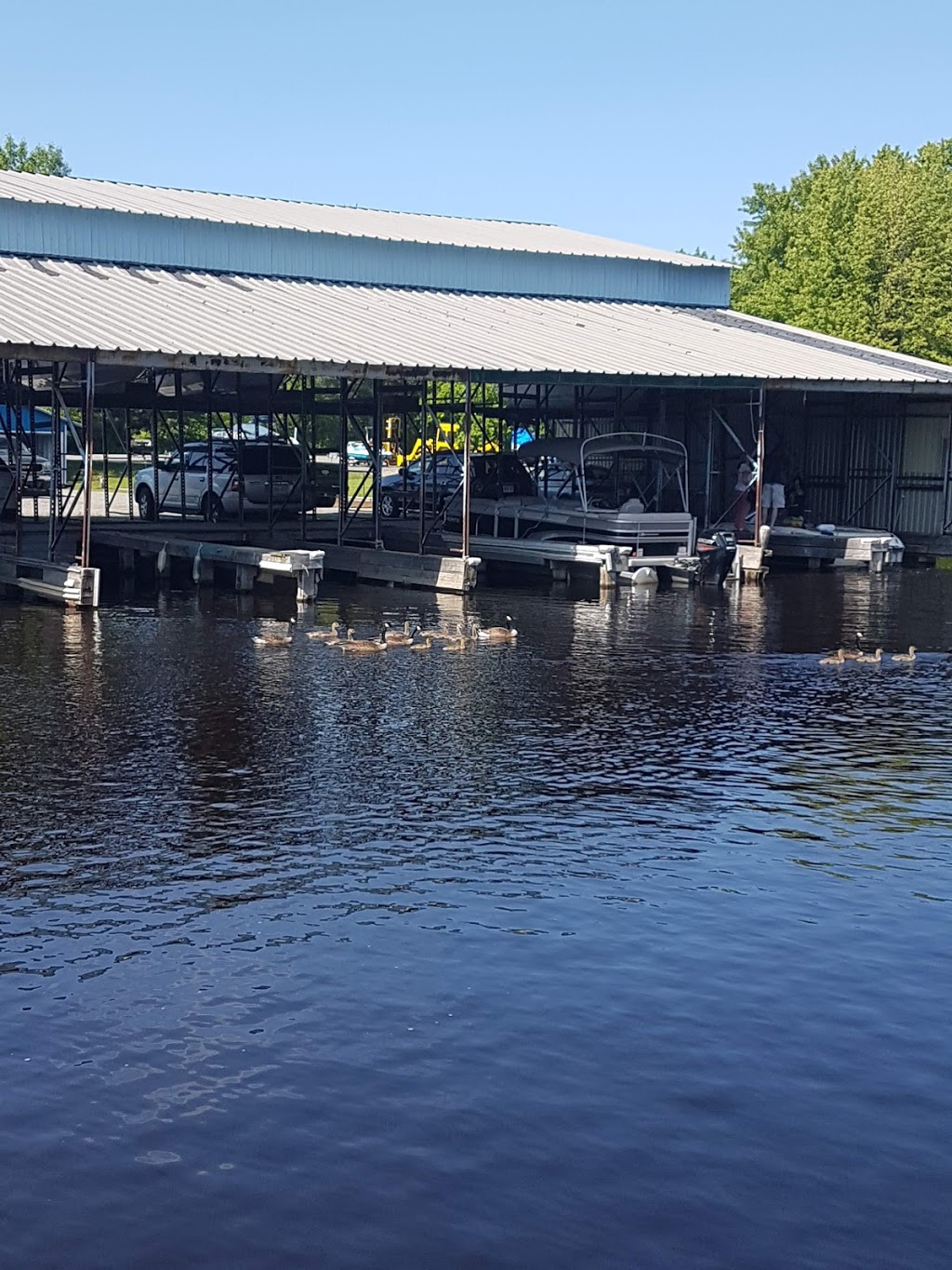 Indianhead Harbour Ltd | 1048 Cedar Beach Rd, Bracebridge, ON P1L 1W8, Canada | Phone: (705) 645-4100