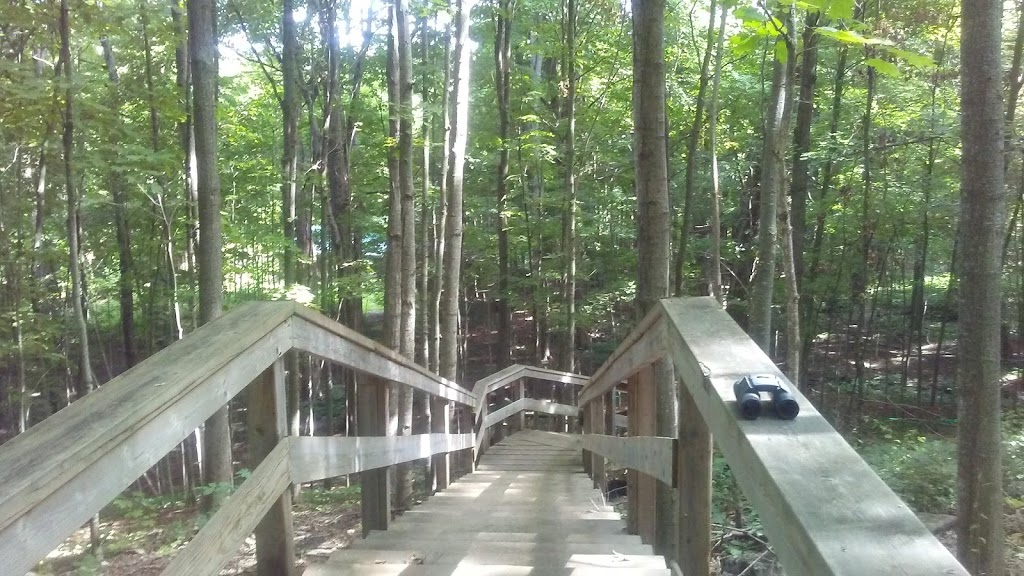 Little Cataraqui Creek Conservation Area | 1641 Perth Rd, Glenburnie, ON K0H 1S0, Canada | Phone: (613) 546-4228