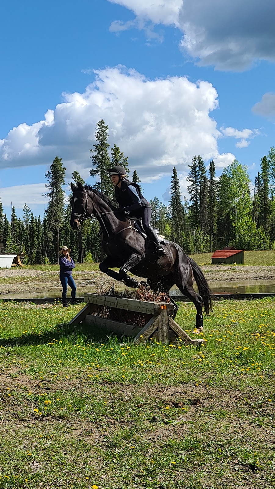 Prentice Creek Equestrian Centre | Clearwater County, AB T0M 0C0, Canada | Phone: (403) 846-8756