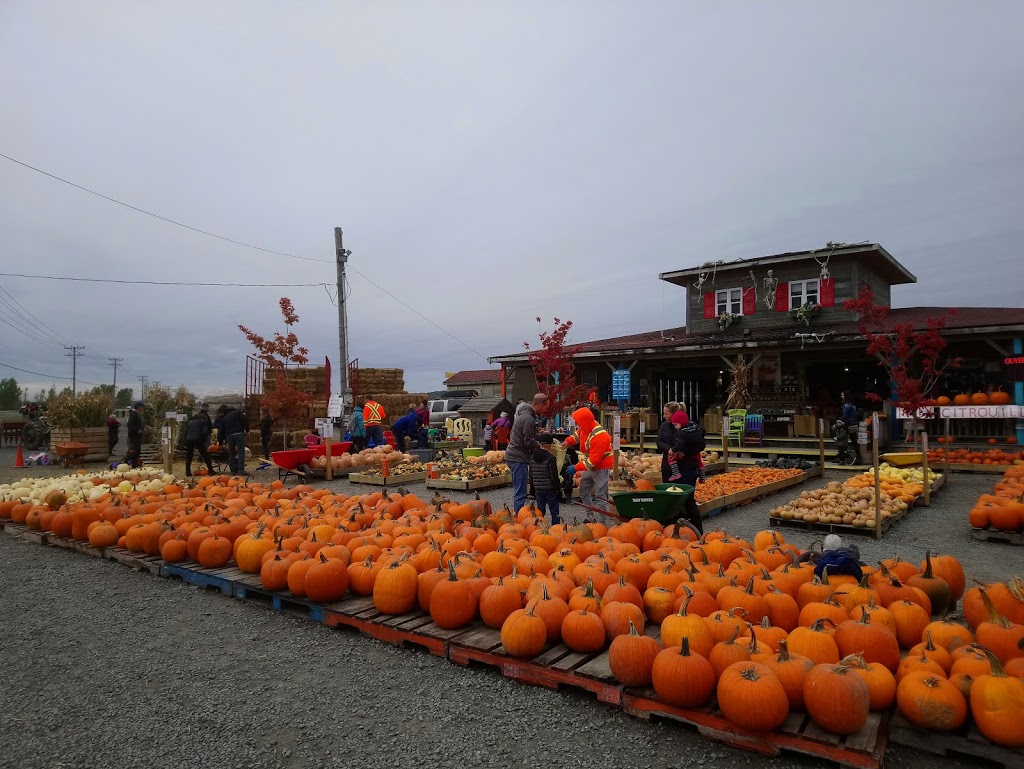 Marché Fermier | Saint-Basile-le-Grand, QC J3G 6V8, Canada | Phone: (514) 838-9262