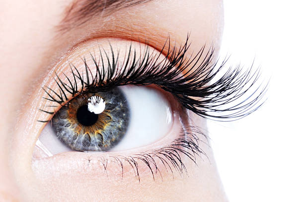 Delong Lashes And Aesthetics | 171 Waterloo St, Winnipeg, MB R3N 0S4, Canada | Phone: (204) 996-5274