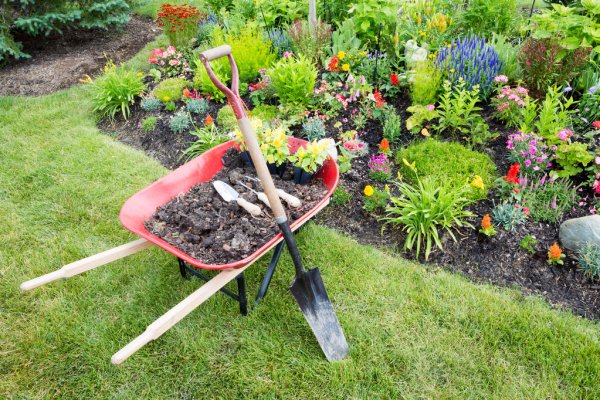 Ontario Landscaping Experts | 183 Lake Ave N, Hamilton, ON L8E 1L5, Canada | Phone: (289) 683-3944