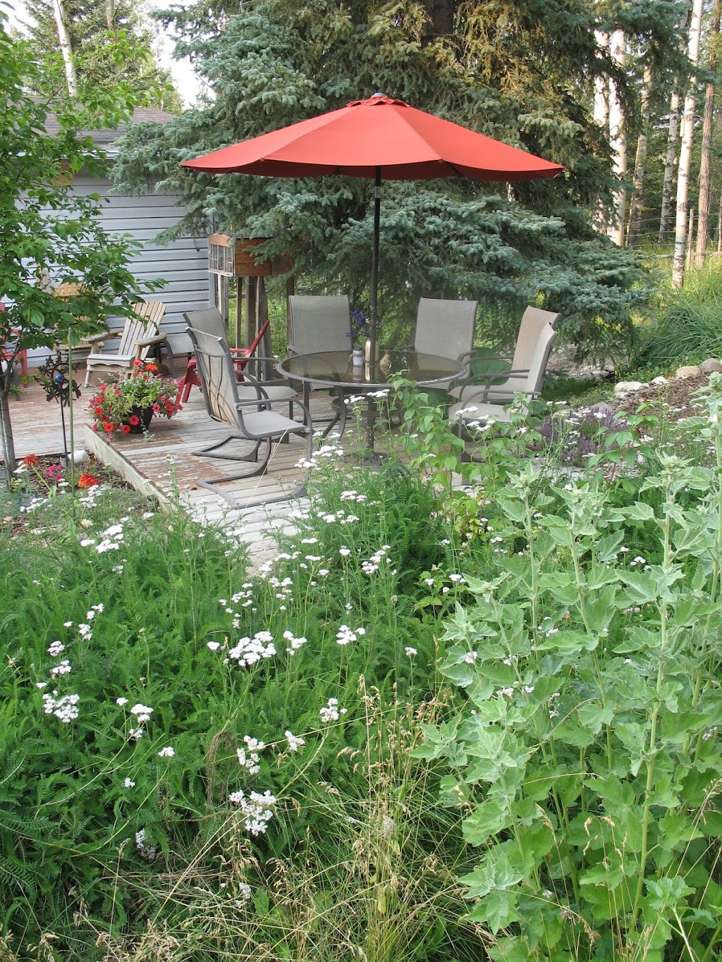Prairie Sage Permaculture | 182 Covehaven View NE, Calgary, AB T3K 5S6, Canada | Phone: (403) 869-2786