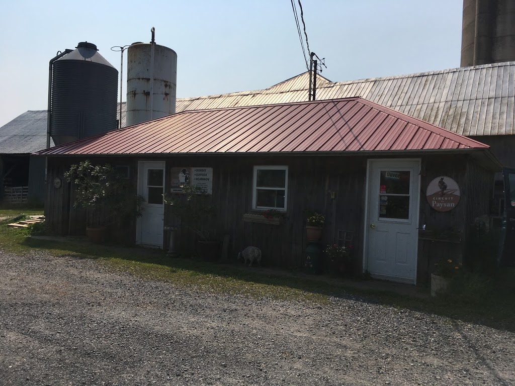 Agneau ferme lochette | 340 Rang de Versailles, Mont-Saint-Grégoire, QC J0J, Canada | Phone: (450) 346-3389