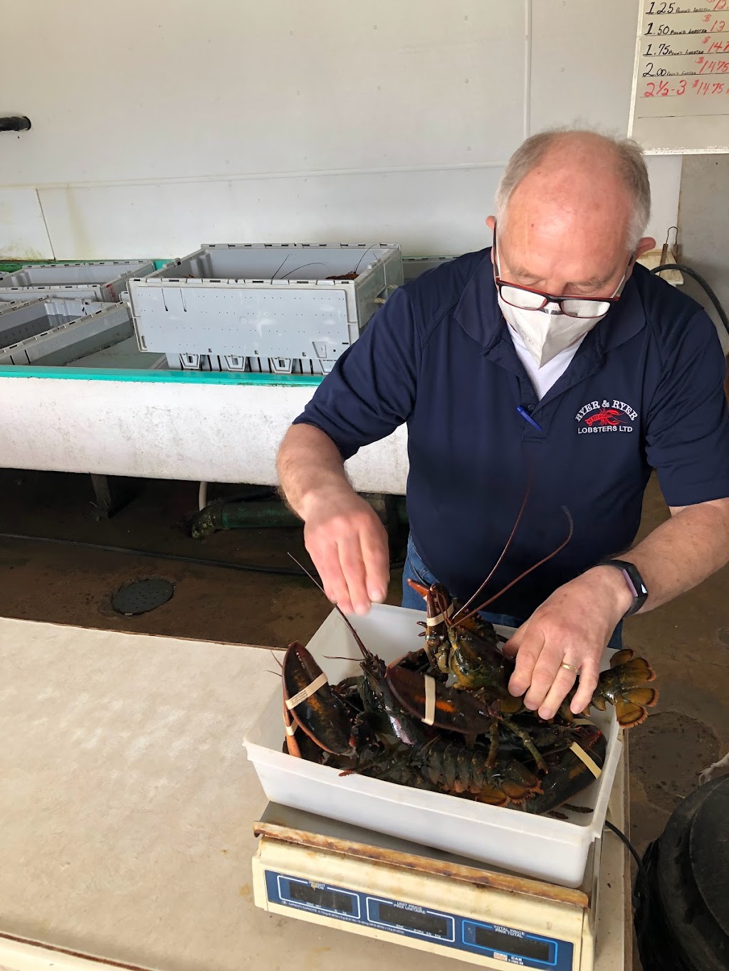 Ryer Lobsters | 15 Ryers Rd, Indian Harbour, NS B3Z 3P9, Canada | Phone: (902) 823-1070