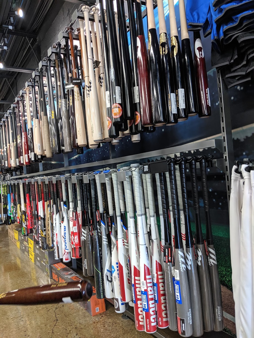 Baseball 365 | 6-3235 Fairview St, Burlington, ON L7N 3L1, Canada | Phone: (905) 631-1867