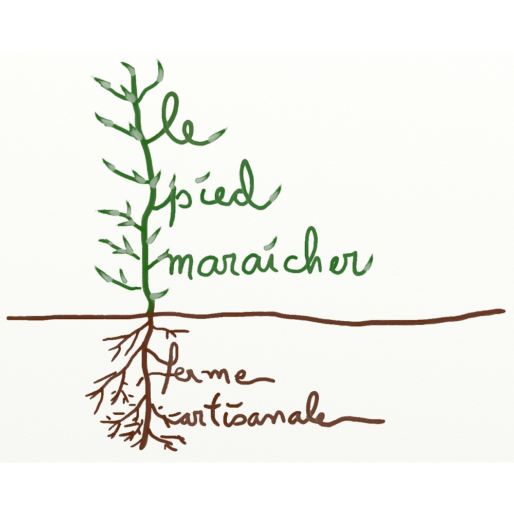 Le pied maraîcher, ferme artisanale | 452 Grande-Ligne, Saint-Alexis, QC J0K 1T0, Canada | Phone: (450) 839-3427