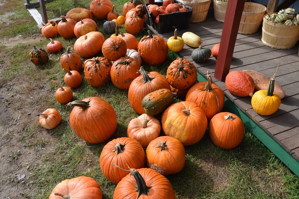 Ferme Éthier Les Fruits Soleil | 490 4 Rang, Saint-Étienne-des-Grès, QC G0X 2P0, Canada | Phone: (819) 376-8062