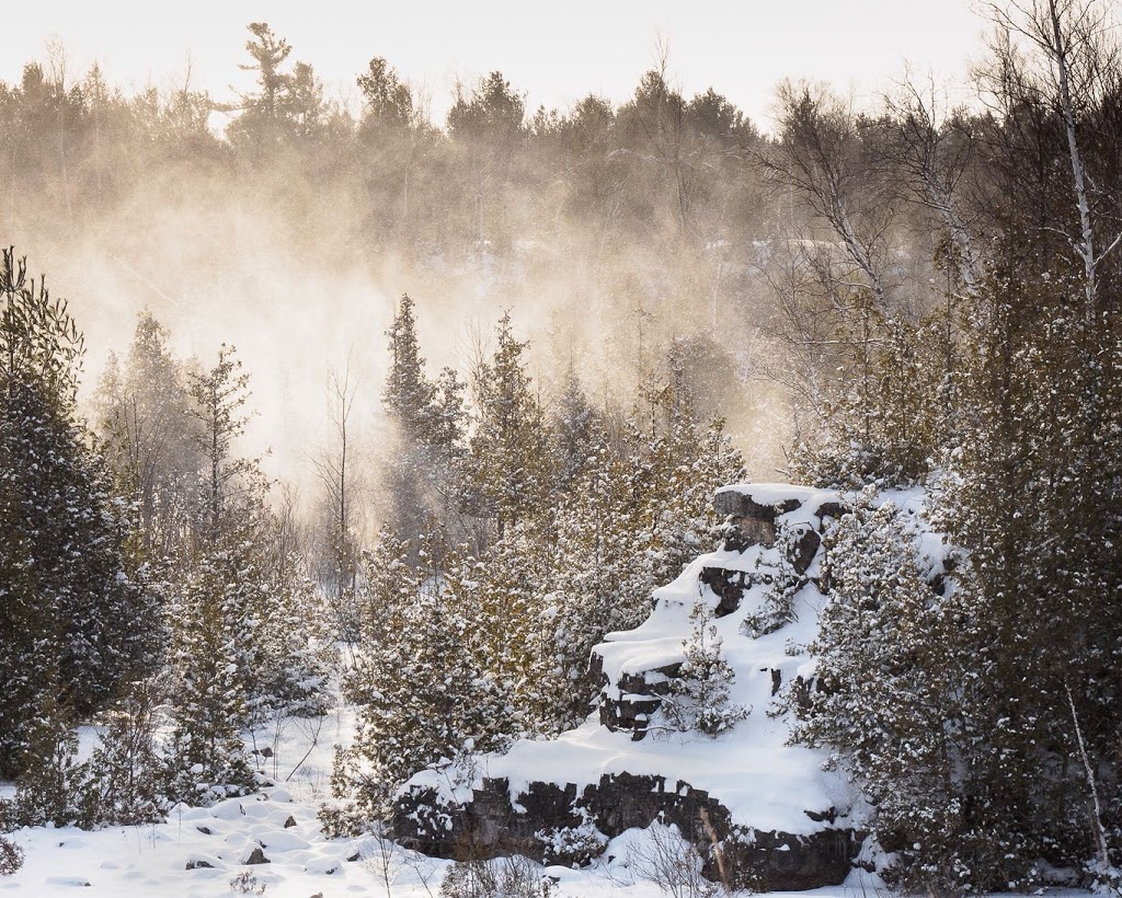 Fletcher Creek Ecological Preserve | Concession Rd 7, Puslinch, ON N0B 2J0, Canada