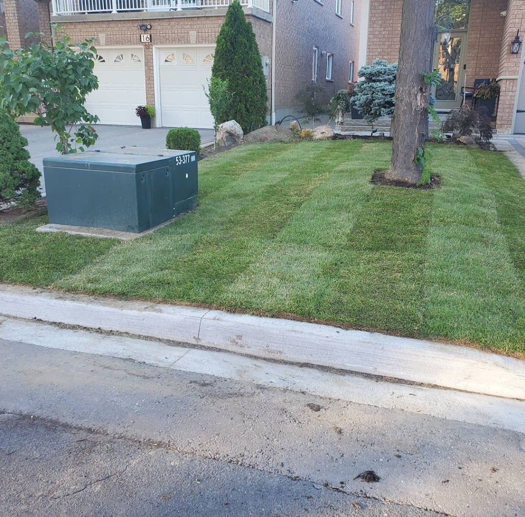 Grass Guys | 168 Beechnut Rd, Woodbridge, ON L4L 6T6, Canada | Phone: (647) 334-5296