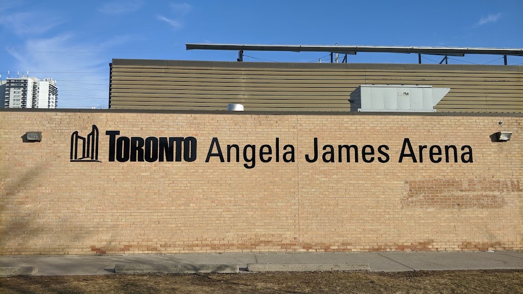 Angela James Arena | 165 Grenoble Dr, North York, ON M3C 3E7, Canada | Phone: (416) 395-7838