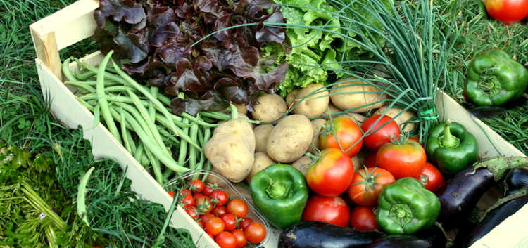 paniers de légumes 100% naturel | 4072 Chemin Royal, Saint-Jean-de-lÎle-dOrléans, QC G0A 3W0, Canada | Phone: (581) 991-2158