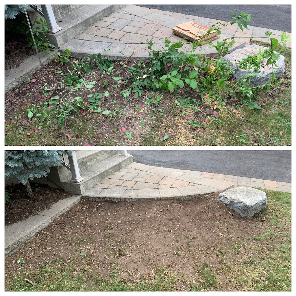 Stump King (Stump Removal Specialist) | 3381 Vernon Powell Dr, Oakville, ON L6H 0Y3, Canada | Phone: (416) 518-3152