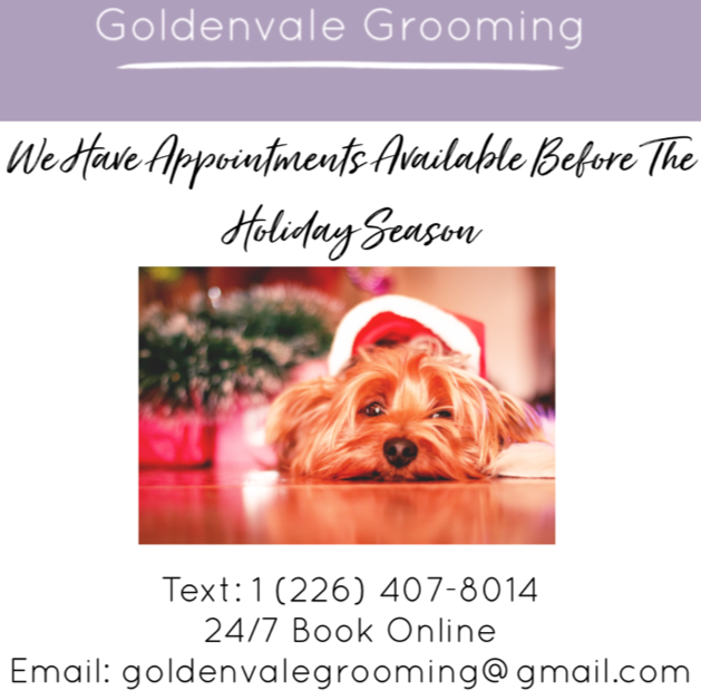 Goldenvale Grooming | 2866 Davis Dr, East Gwillimbury, ON L9N 0L3, Canada | Phone: (905) 954-1754