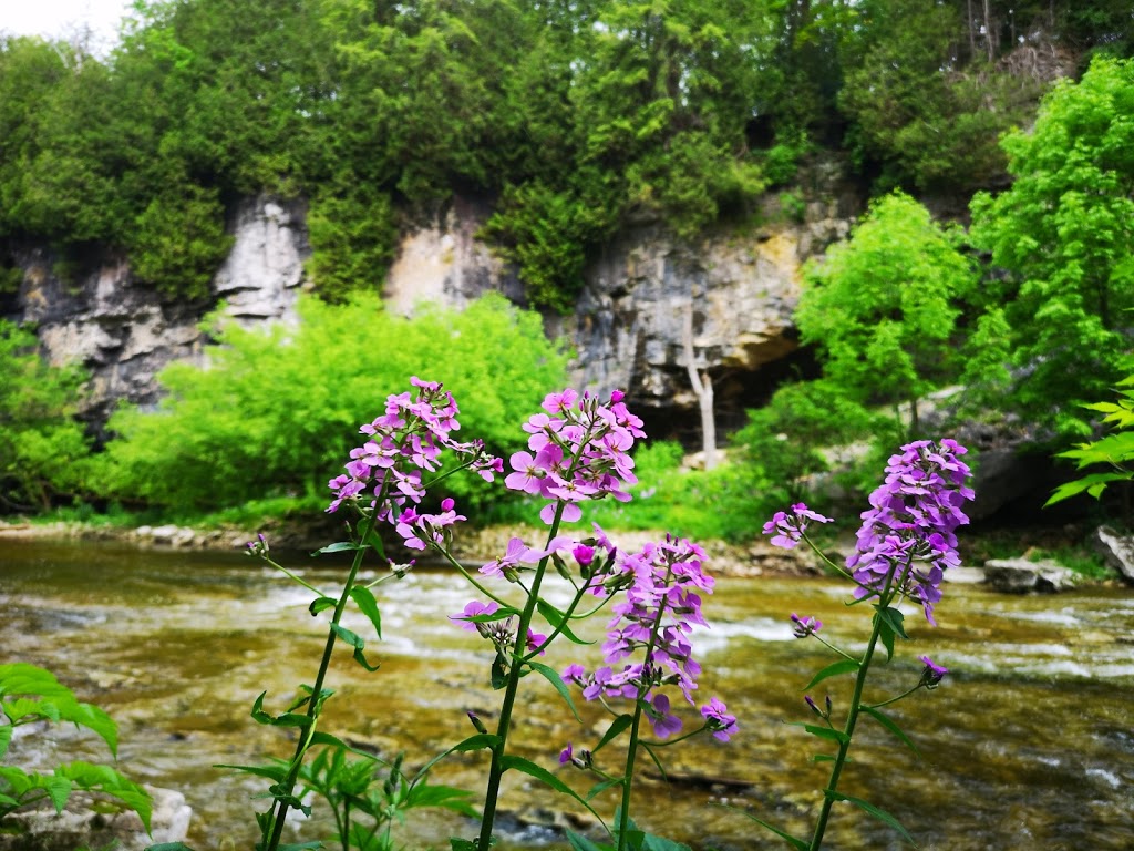 Elora Gorge | Elora, ON N0B, Canada | Phone: (519) 846-9742