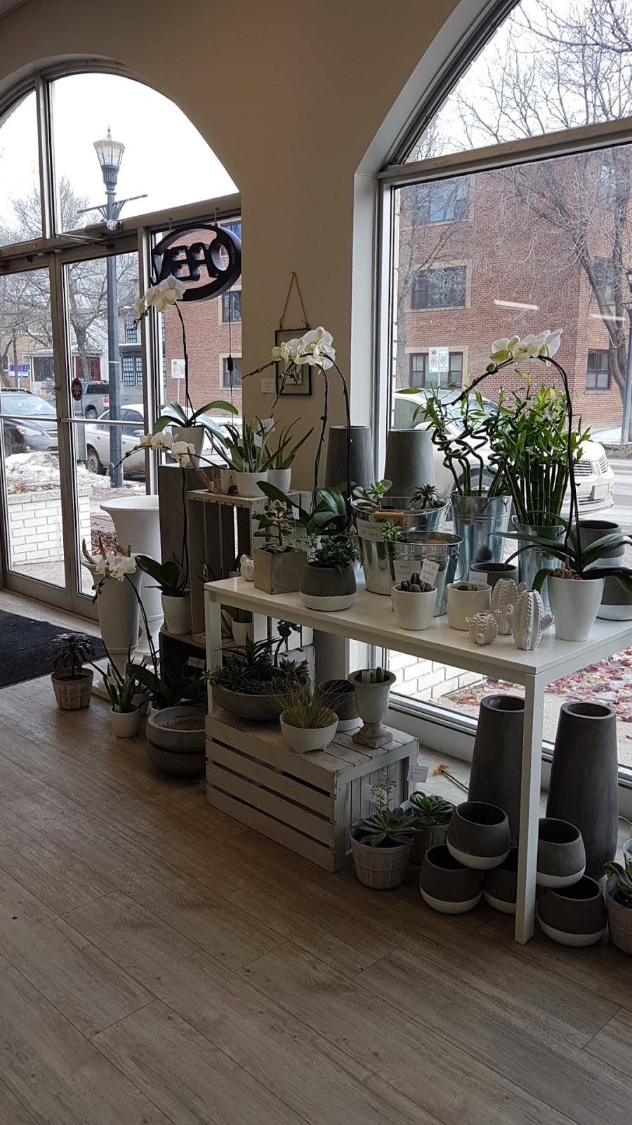 Academy Florist | 925 Corydon Ave, Winnipeg, MB R3M 0W8, Canada | Phone: (204) 488-4822