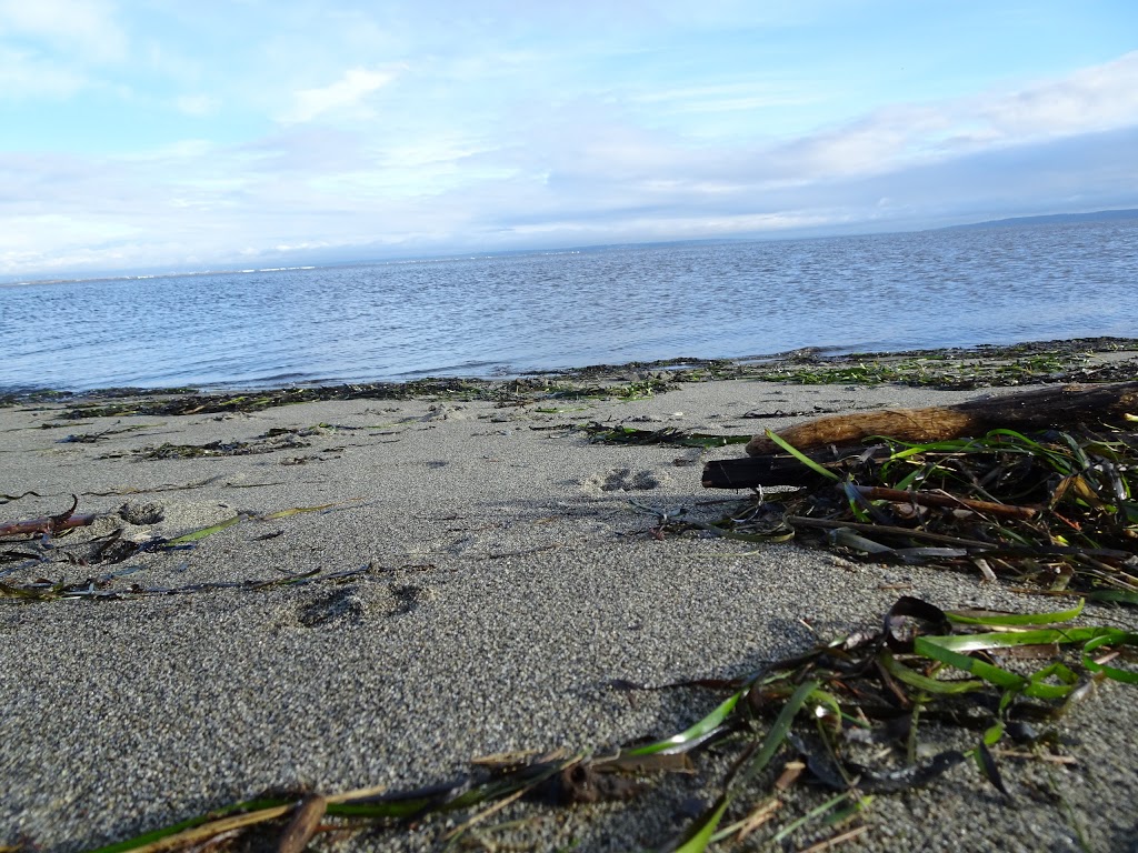 Boundary Bay Regional Park | Boundary Bay Rd, Delta, BC V4L 1N2, Canada | Phone: (604) 520-6442