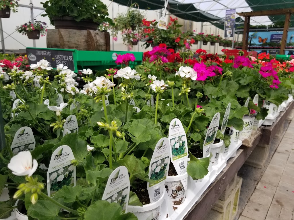 New Roots Garden Centre | 17235 Yonge St, Newmarket, ON L3Y 5L8, Canada | Phone: (905) 895-9727