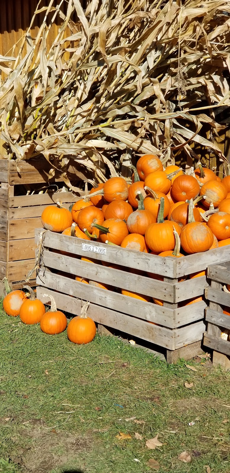 La Brouette à Légumes | 255 Grande Côte E, Lanoraie, QC J0K 1E0, Canada | Phone: (450) 887-1753