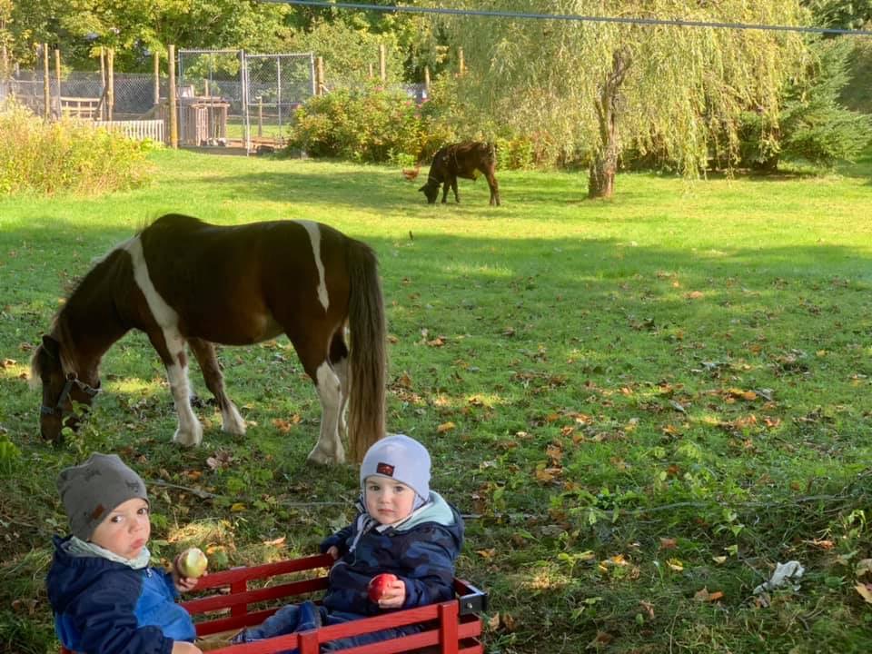 Verger Pomme d’Amour | 537 3e Rang O, Honfleur, QC G0R 1N0, Canada | Phone: (418) 956-3080