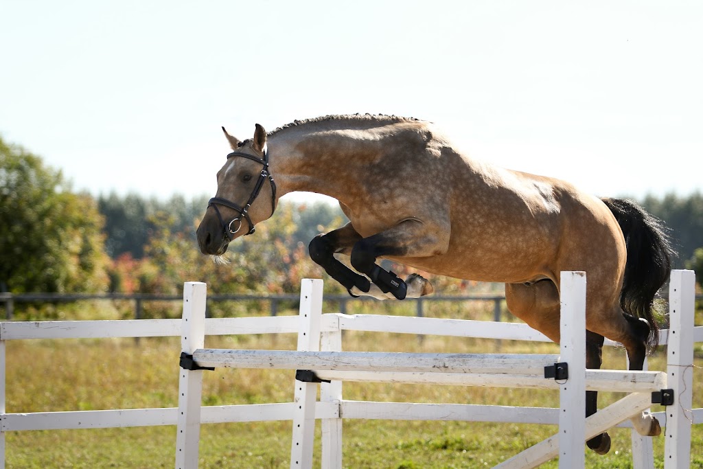 Ferme Quantum | 5868 Chemin St Isidore, Laterrière, QC G7N 1M4, Canada | Phone: (418) 540-0726