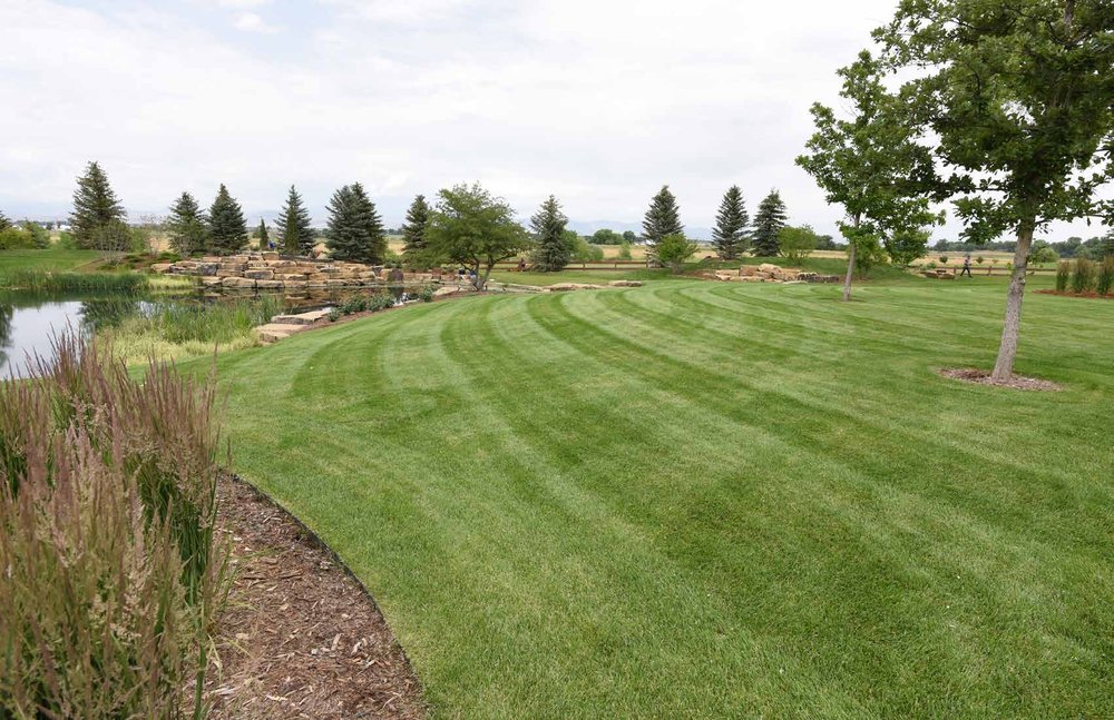 Green Cuts Pool and Lawn Care | 47 Ruijs Blvd, Brantford, ON N3T 0E2, Canada | Phone: (226) 583-0510